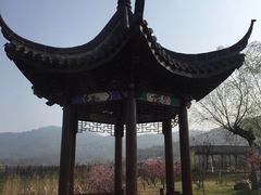-石塘人家