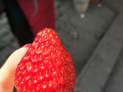 -重庆和泰马术俱乐部