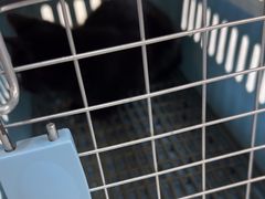-贝康宠物医院·犬猫全科·小动物特色诊疗中心(东环路店)