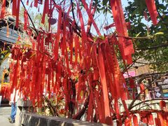 -重庆十八梯传统风貌区