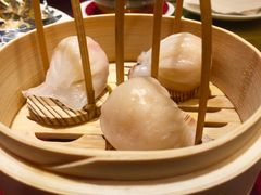 招牌虾饺皇-金鼎轩·滋养小餐馆(联想桥店)