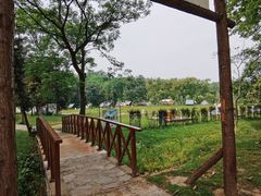 -宜兴龙背山森林公园