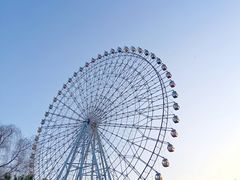 -万泉公园
