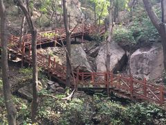 -大岭沟猕猴桃谷风景区