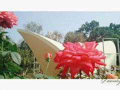 -人民公园(罗湖区)