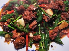 -食鸡公社辣子鸡·潍坊菜·烧烤