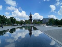 -龙华素斋(龙华路店)