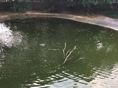 -泉州海丝野生动物世界