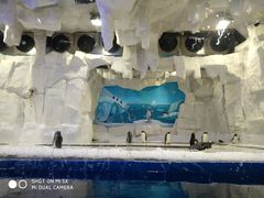 -华夏文旅海洋公园