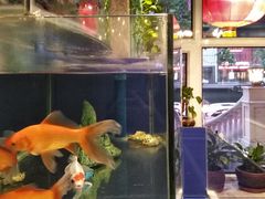 -龙福成肥牛火锅(文昌店)