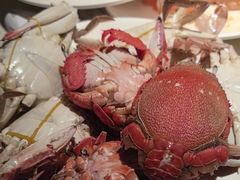 -加餐海鲜自助(宝龙一城店)