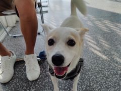 -wakanda瓦坎达咖啡(创享天地店)