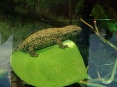 android_upload_pic-上海大自然野生昆虫馆