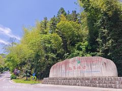 -紫鹊界梯田景区