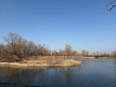 -盐城丹顶鹤湿地生态旅游区