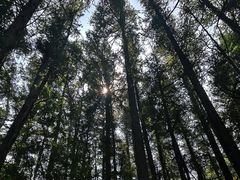 -白草畔自然风景区