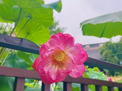 -钱王祠