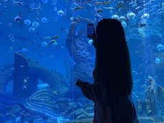 -波塞冬旅游度假区