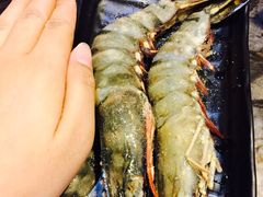 -熊出没日本烧肉放题