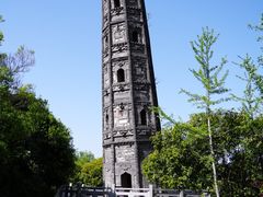 -上海佘山国家森林公园天马山园