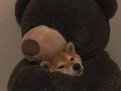 -HONGA HONGA雄家(曹路店)