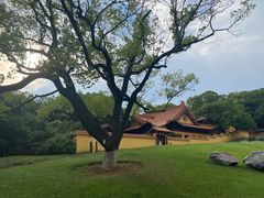-太子山公园(园东路)