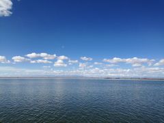 -春园海鲜广场D区6号(钟姐海鲜加工店)