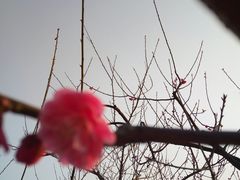 -明瓦廊小区