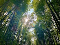 -鸡枕山