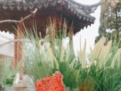 -九献·创意菜(亮马河饭店)