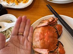 -品鲜村农家菜·阳澄湖大闸蟹(总店)