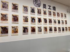 -有喵·猫咖·狗咖·30几只猫10只小狗(岗厦店)