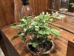 -BAKER&SPICE(安福路店)
