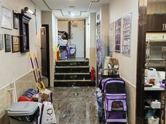 -宠爱国际动物医院·消化内科·心肾内科·ISFM猫友好(望京店)