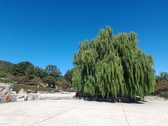 -北京西山国家森林公园