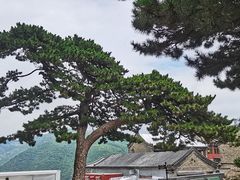 -妙峰山风景名胜区