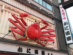 -蟹道乐(道顿堀本店)