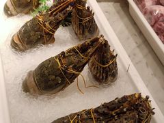 -雍和会海鲜姿造自助(湖东路店)