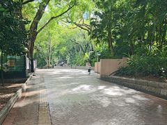 -九龙公园
