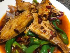 -酒肉行·虎子盐筋烤肉(大寨路店)