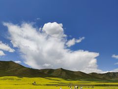-扁都口生态休闲旅游区