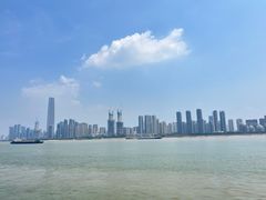 -武汉关码头(轮渡站)