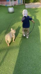 -萌宠亲子动物乐园(槐房万达店)