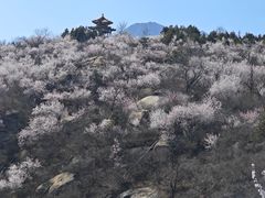 -白水寺森林公园