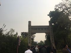 -南湖湿地公园