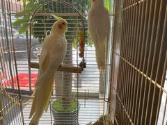 -潇湘·永州会馆(百子湾店)