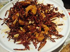-叒缘夜光杯(望江橡树林店)