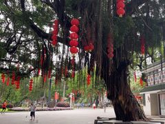 -荔湾湖公园