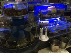 水产区-新海渔港·胶东海鲜家常菜·家宴(奥体中心店)