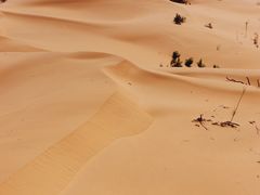 -亿利库布其七星湖沙漠生态旅游区